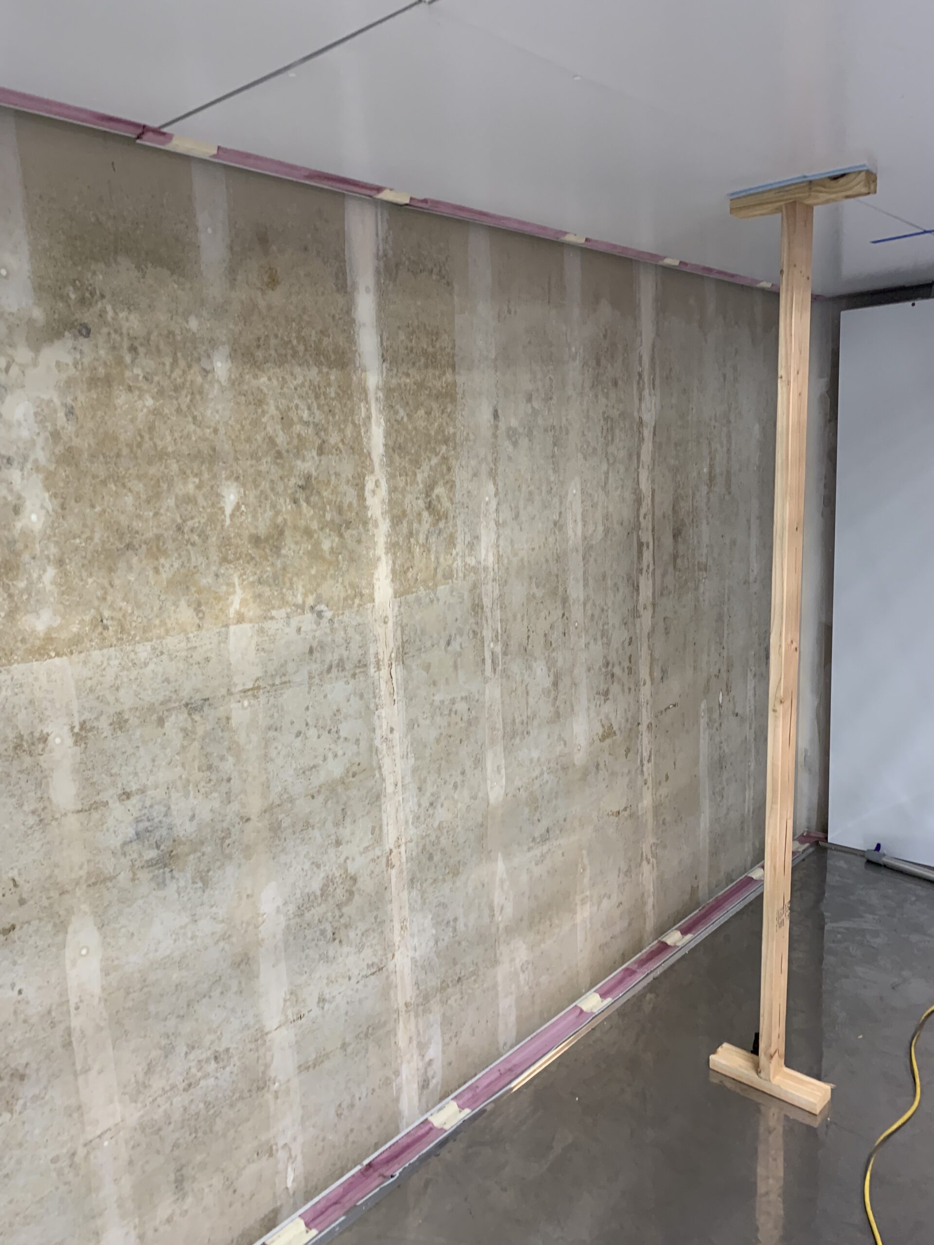 Beautiful view of Mold Remediation In Commercial Leases